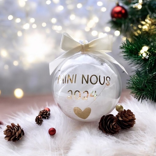 🎄 Boule de Noël Plumes Mini nous 🎄 